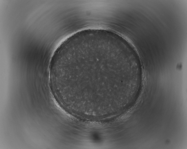 X0000111910935200908171258