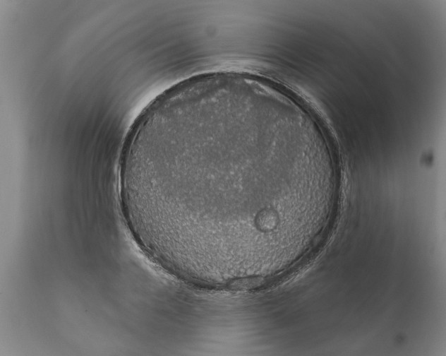 X0000111910936200908171258