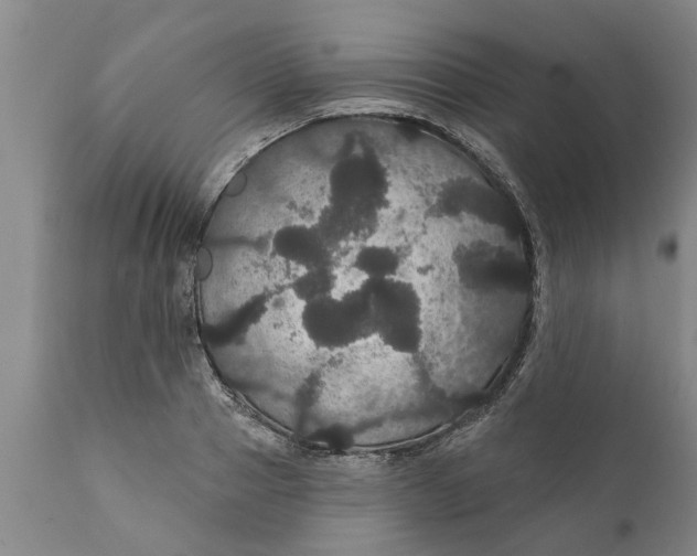 X0000111910937200908171258