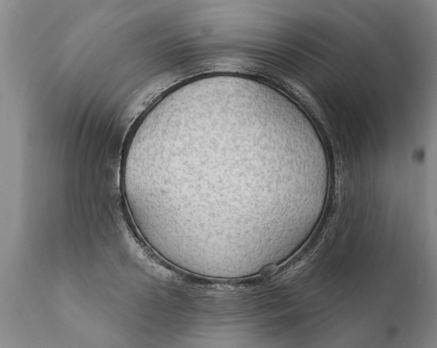 X0000111910938200908171258