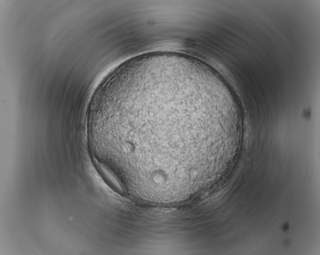 X0000111910939200908171258