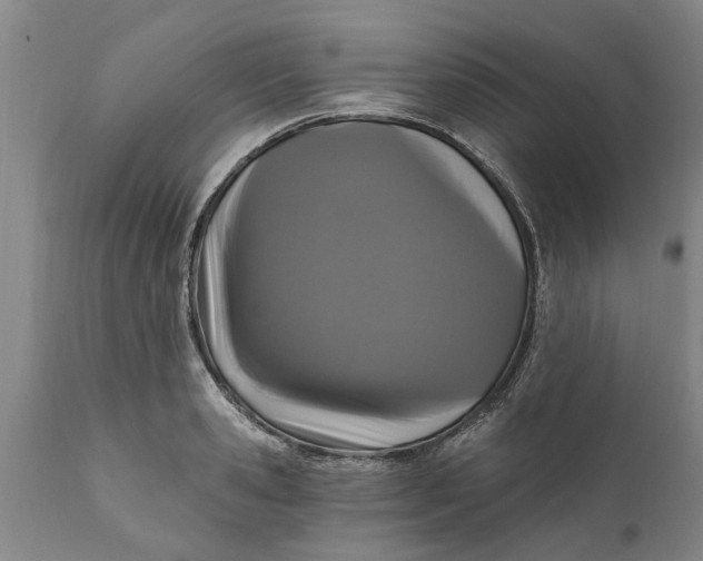 X0000111910941200908171258