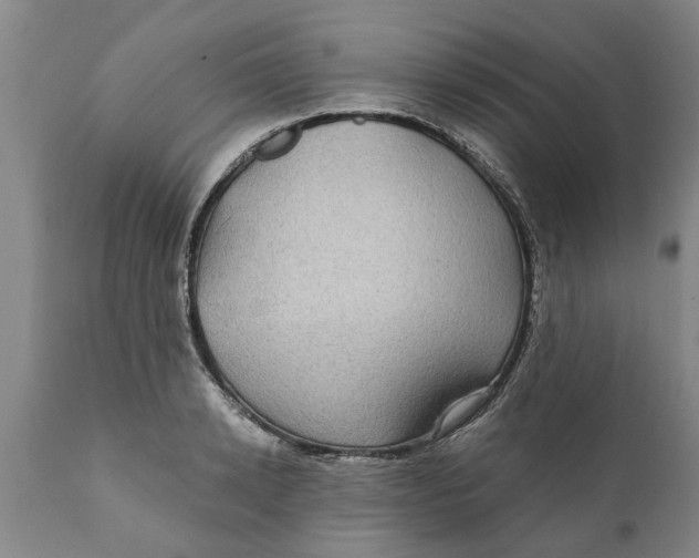 X0000111910942200908171258