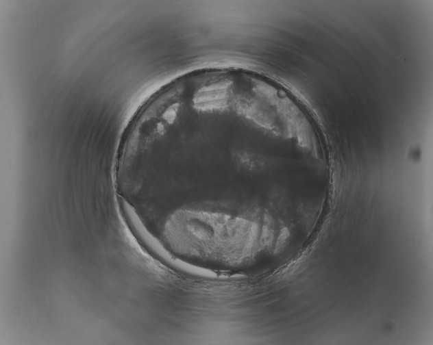 X0000111910943200908171258