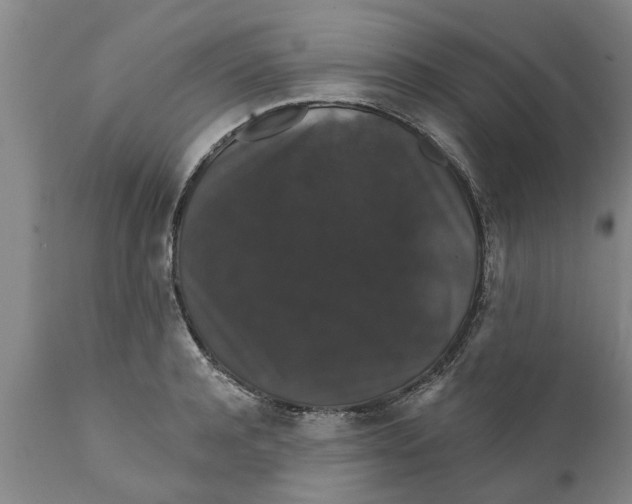 X0000111910944200908171258