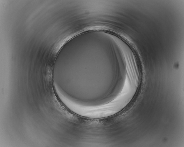 X0000111910945200908171258