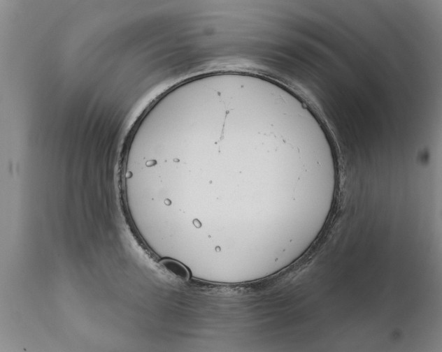 X0000111910947200908171259