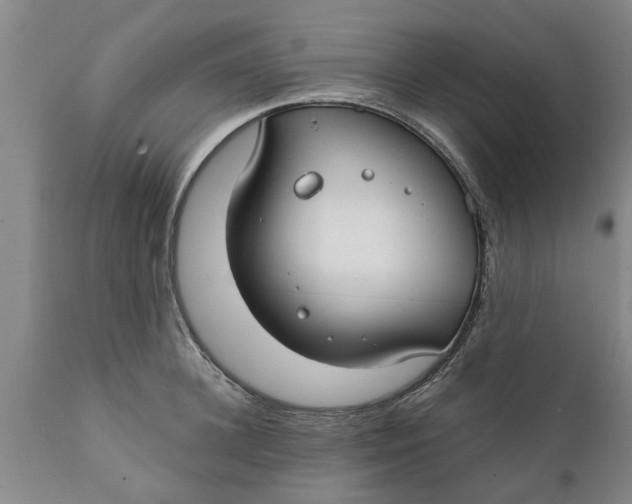 X0000111910948200908171259