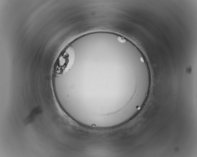 X0000111910950200908171259