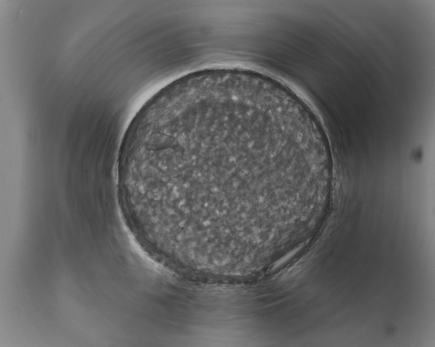 X0000111910951200908171259