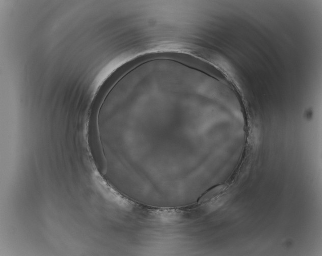 X0000111910952200908171259