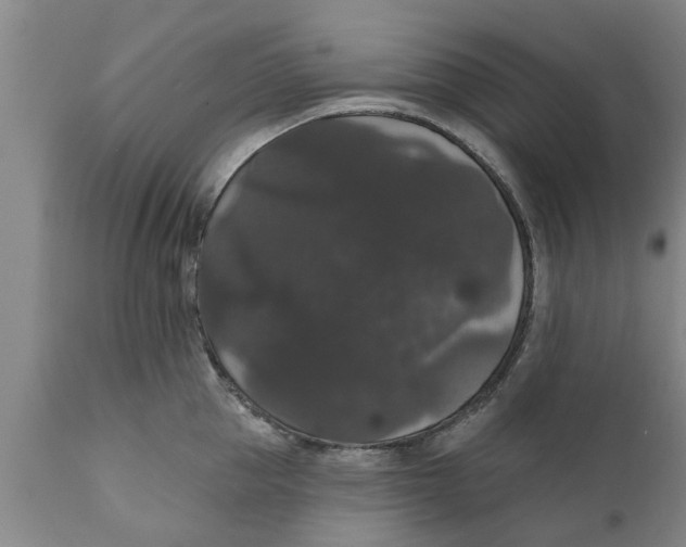 X0000111910953200908171259