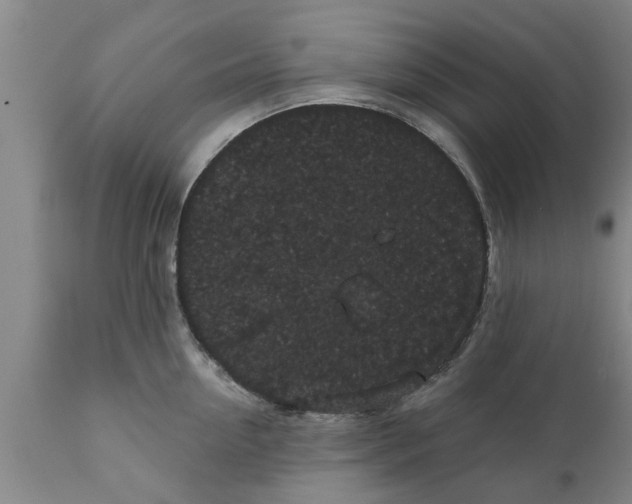 X0000111910954200908171259