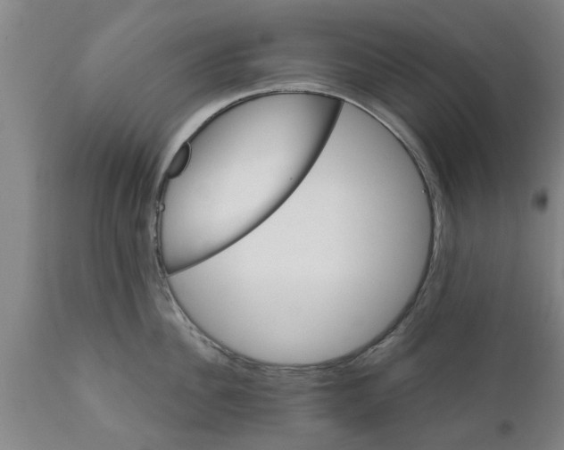 X0000111910956200908171259