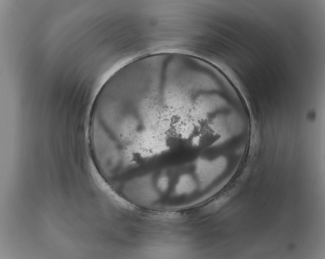 X0000111910957200908171259