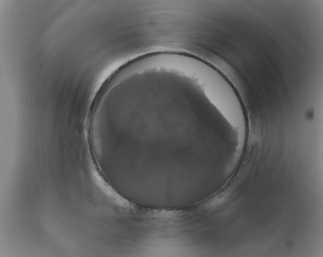 X0000111910958200908171259