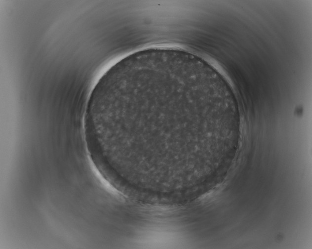 X0000111910959200908171259