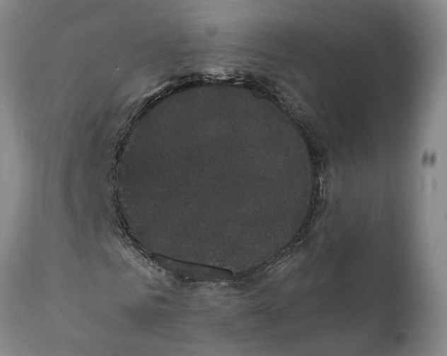 X0000111910961200908171258