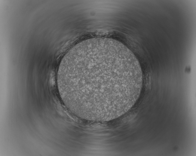 X0000111910962200908171258