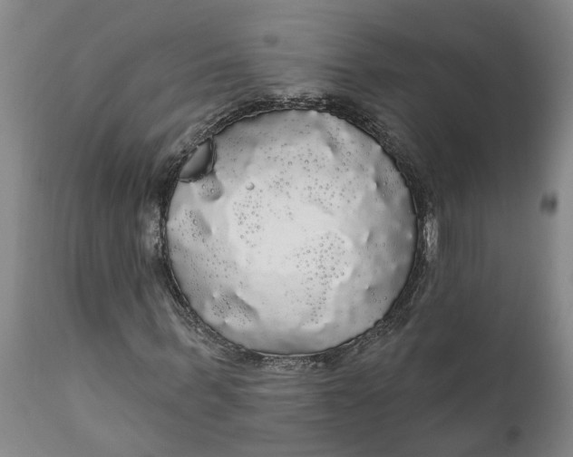 X0000111910963200908171258