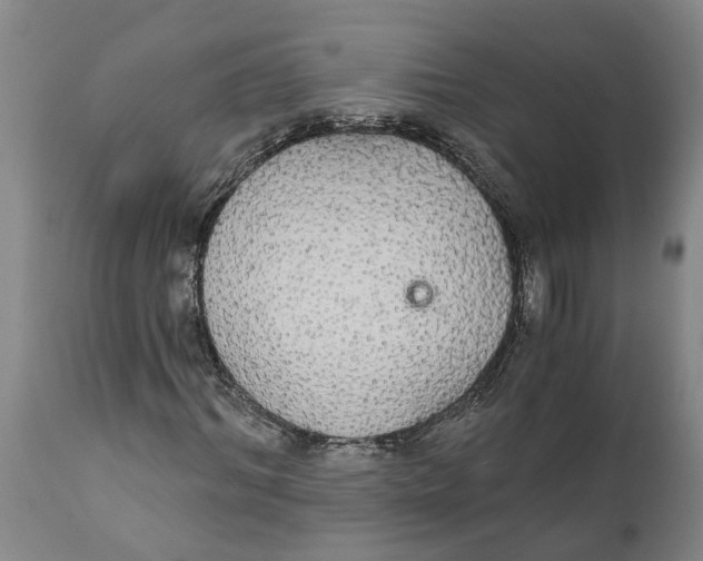 X0000111910964200908171258