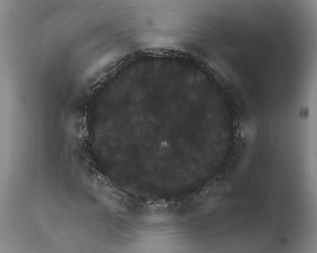 X0000111910965200908171258