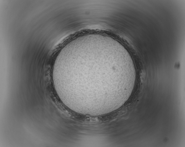 X0000111910968200908171258