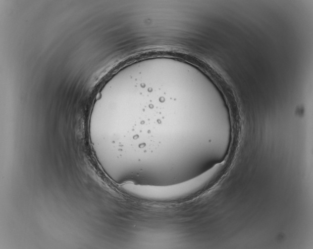 X0000111910969200908171258