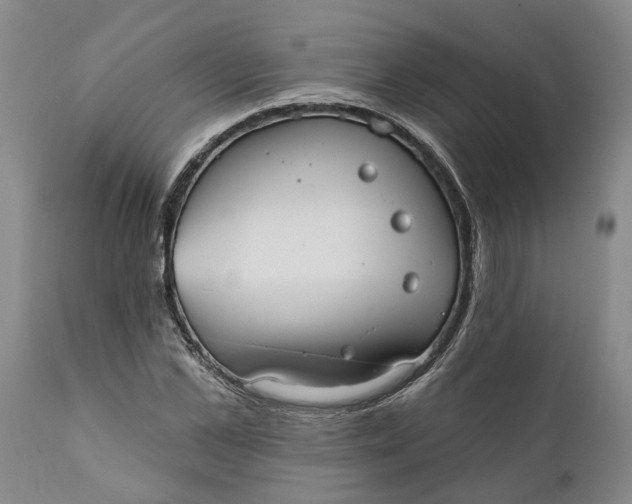 X0000111910973200908171258