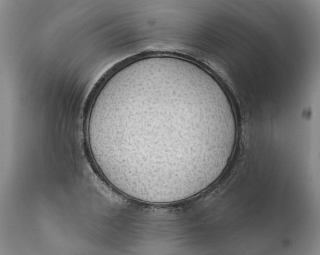 X0000111910976200908171258