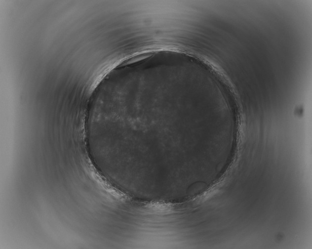 X0000111910977200908171258