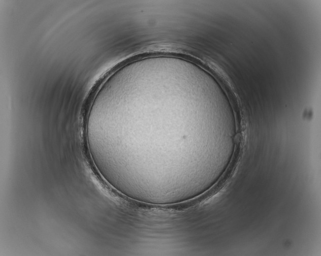 X0000111910981200908171258