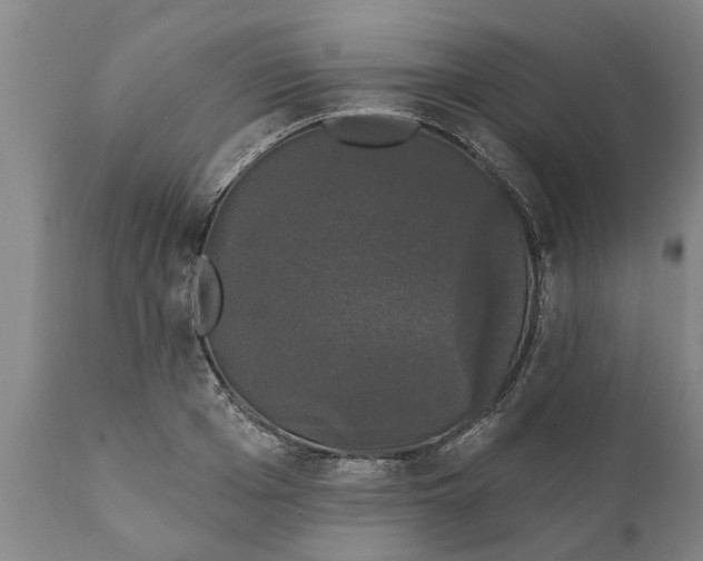 X0000111910985200908171258