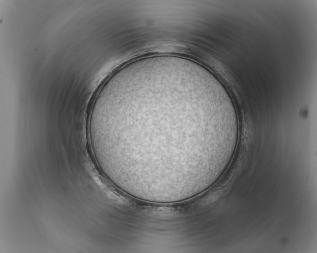 X0000111910986200908171258