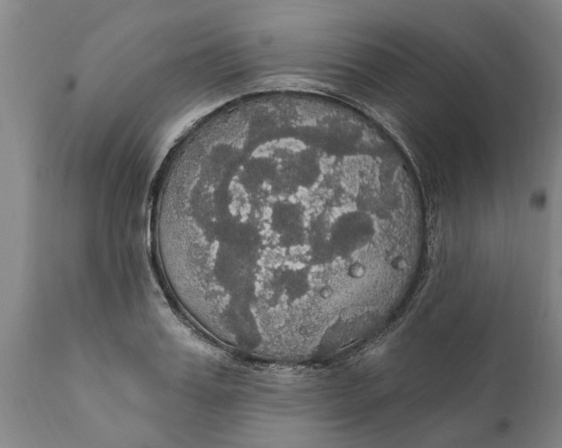 X0000111910987200908171258