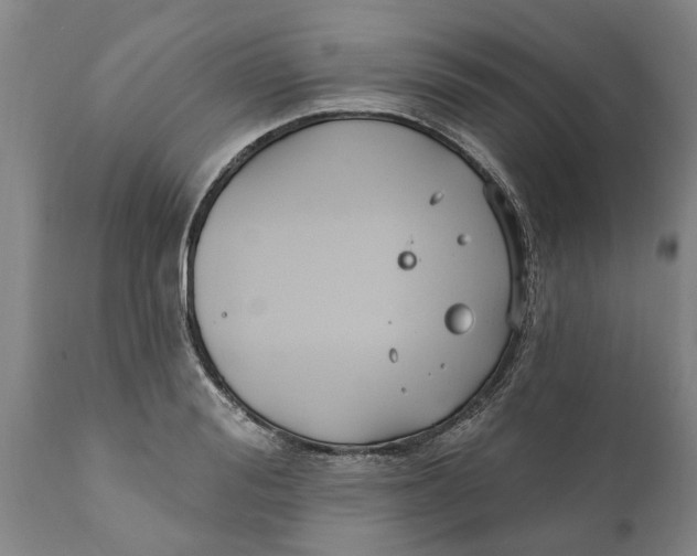 X0000111910988200908171258