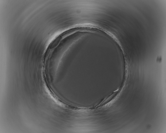 X0000111910989200908171258