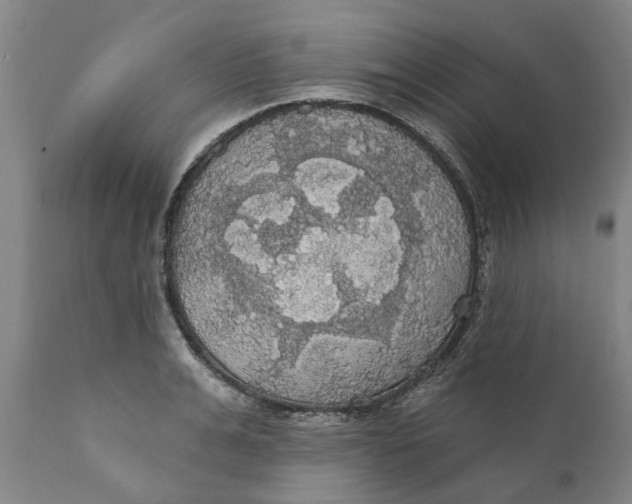 X0000111910991200908171258