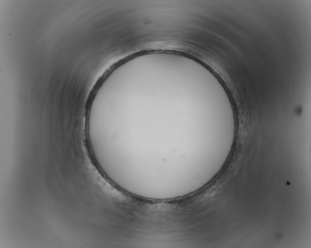 X0000111910992200908171258