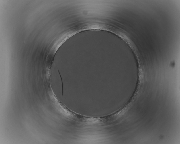 X0000111910993200908171258