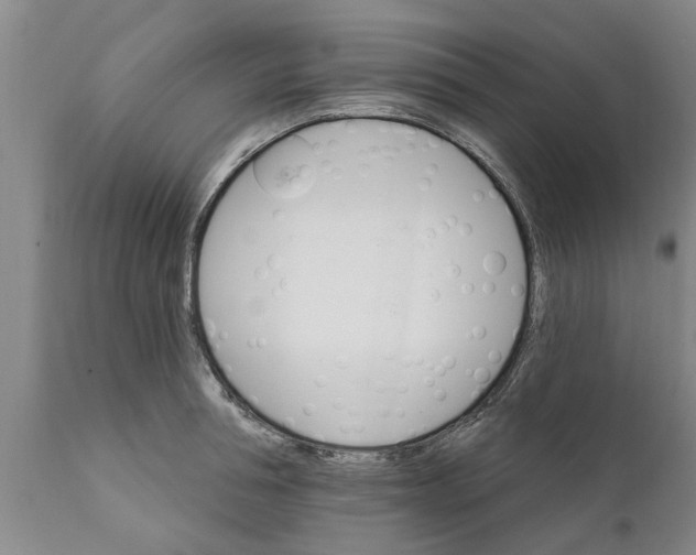 X0000111910994200908171258