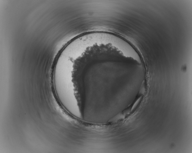 X0000111910995200908171258