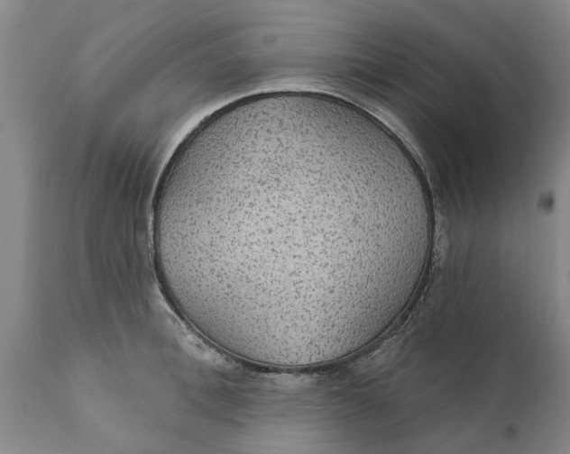 X0000111910996200908171258