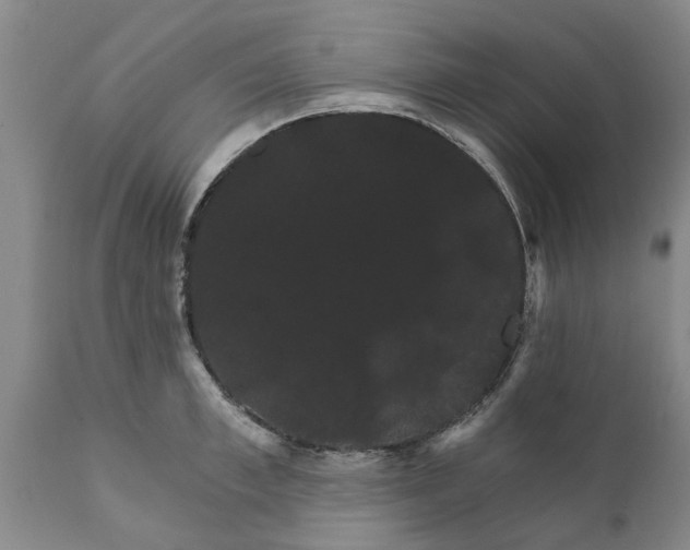 X0000111910997200908171258