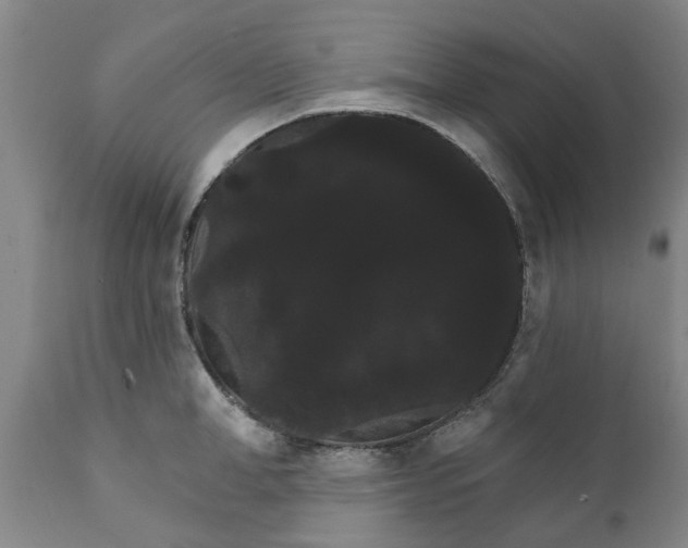 X0000111910998200908171258