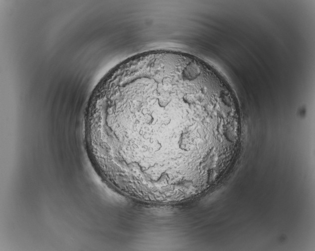 X0000111910999200908171258