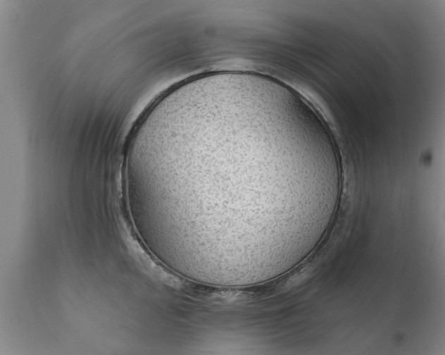 X0000111911000200908171257