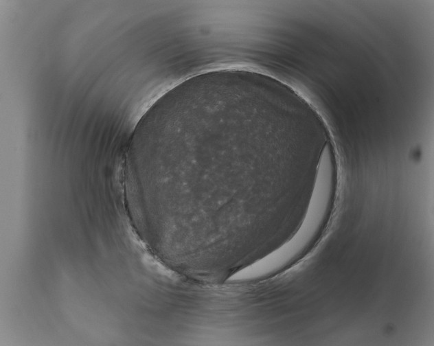 X0000111911001200908171257