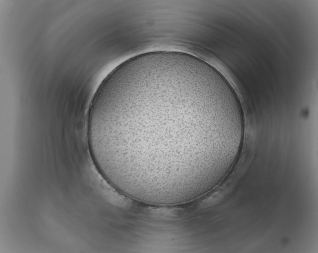 X0000111911004200908171257