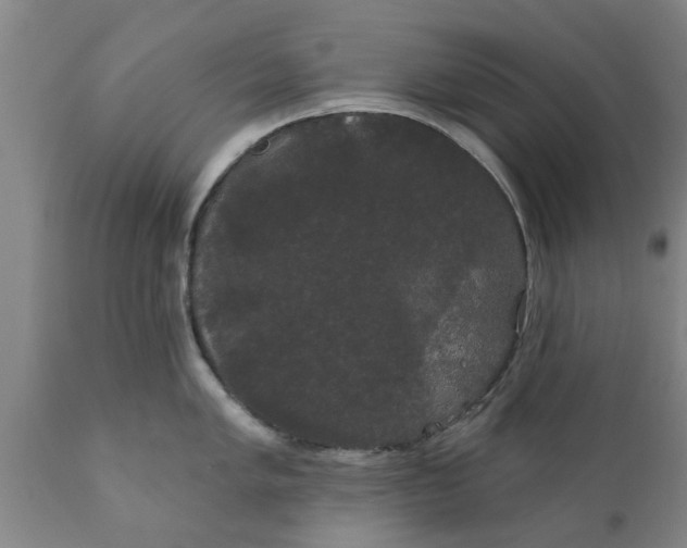 X0000111911005200908171257